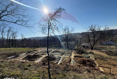 Spațiu comercial, în Cărbunari - 8