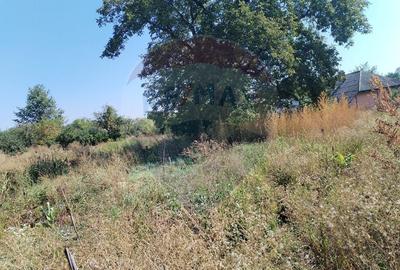 Casă individuală cu 4 camere cu Teren 3370 Mp în Central - 19