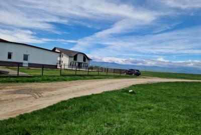 Teren extravilan 25.254 mp in zona Preajba - 2