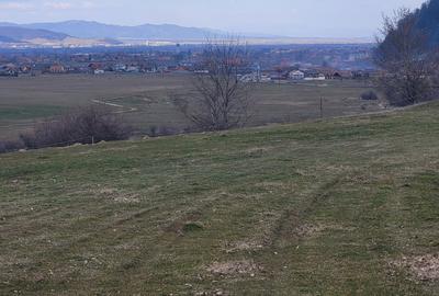 Spațiu comercial, în Central - 5