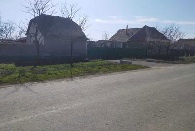 Casă cu 3 camere în Livezile