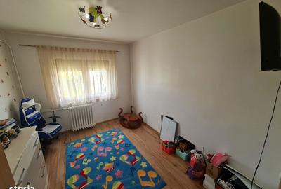 Apartament cu 5 camere decomandat în Micălaca - 11
