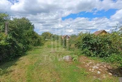 Casă cu Teren 952 Mp în Scoreiu - 8