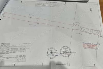 Casă cu 6 camere cu Teren 2000 Mp în Brănești - 12