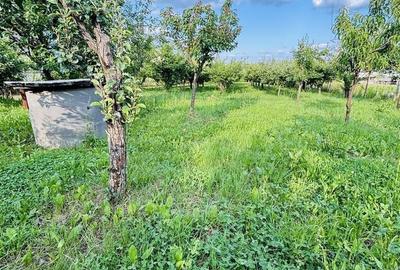 Casă cu 4 camere cu Teren 3405 Mp în Sânmartin - 15