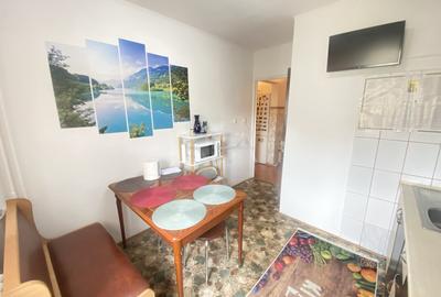 Apartament cu 3 camere decomandat, mobilat în Tineretului - 8