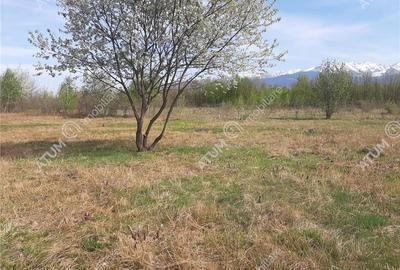 Teren intravilan 2700 mp pe Valea Avrigului localitate Avrig - 3