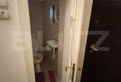 Apartament cu 3 camere, curte comuna de 284 mp, locatie excelenta, Gruia - 9