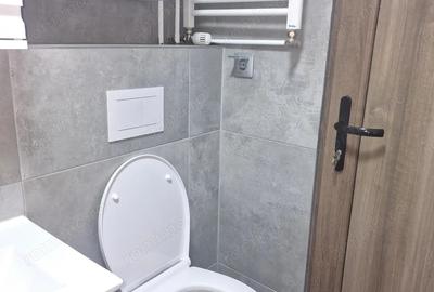 Proprietar, vand garsoniera decomandata, etaj 1, renovata complet, Complex Studen?esc Timi?oara - 17