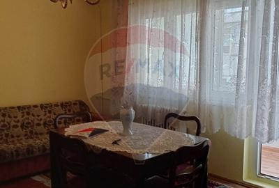 Apartament cu 2 camere semidecomandat în Aurel Vlaicu - 18