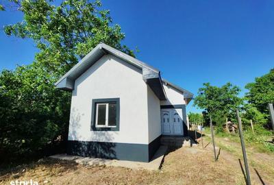 Casă cu 3 camere cu Teren 250 Mp în Lumina - 6