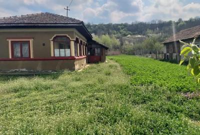 Teren de 3500 mp, în Izvoarele - 1