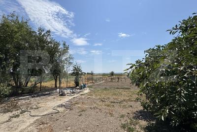 Casă individuală cu 4 camere cu Teren 1500 Mp în Exterior Sud - 13