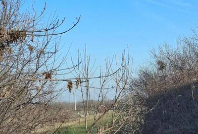 Teren Calugareni Giurgiu 2600 mp - 2