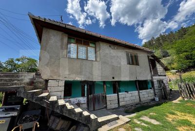 Casa cu 6000 mp teren, Poiana Ampoiului - Metes - 6
