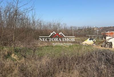Spațiu comercial, în Paleu - 7