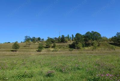 Teren de 8757 mp, în Luncoiu de Sus - 11