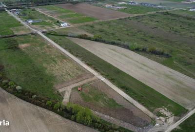 Spațiu comercial, în Moșnița Nouă - 11