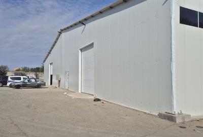 HALA | HALTA TRAIAN | SERVICE | DEPOZITARE - 3