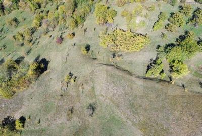 Teren extravilan, 41.631,00 mp, zona Pietrosita - 4