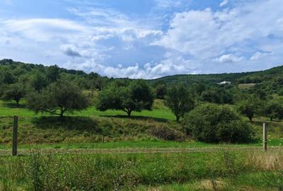 Teren de 623 mp, în Florești - 1