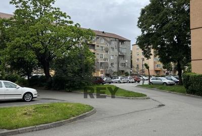 Apartament 3 camere de vânzare zona Terezian-Rusciorului-Lungă - 13