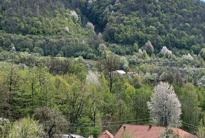Casă cu 3 camere în Nojag - 3