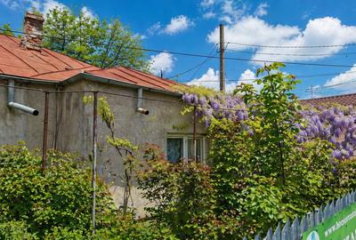 Casă cu 4 camere cu Teren 209 Mp în Central - 11