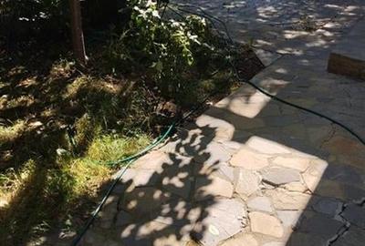 Vila in Otopeni aproape de DN1, aproape de viitorul metrou Vila in Otopeni aproape de DN1, aproape de viitorul metrou - 12