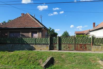 Vand casa localitatea Petreu - 2