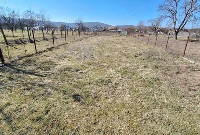 Spațiu comercial, în Lăzărești (Schitu Golești) - 1