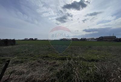 Teren Construcții intravilan de 73351 mp, în Sud - 9