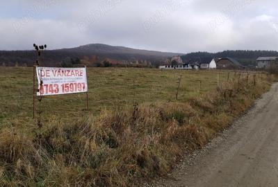 Teren intravilan in Zalau. - 1