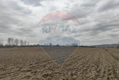 Teren de 11900 mp, în Fârdea - 5