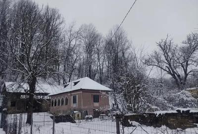 Casă cu 3 camere în Urseiu - 5