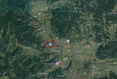 Casa ?araneasca cu livada ?i gradina mare,Vata de jos,Hunedoara - 7