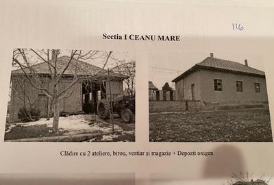 Teren Construcții intravilan de 8090 mp, în Ceanu Mare