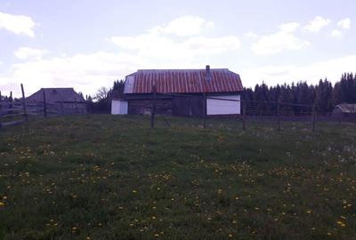 Vand casa cu ?ura - 3