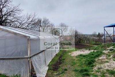 Vanzare Statie GPL AUTO, com Letca Noua, Giurgiu - 2