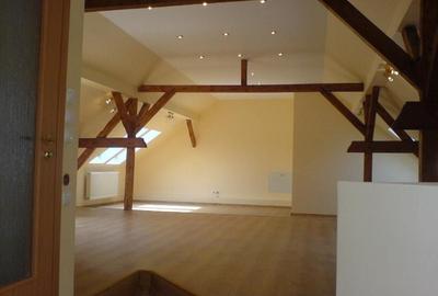 Unirii vila singur in curte Unirii vila singur in curte - 8