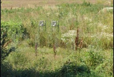 Teren extravilan cu o suprafata de 2373 mp in Racarii de sus Teren extravilan cu o suprafata de 2373 mp in Racarii de sus - 2