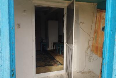 Casă individuală cu 2 camere cu Teren 2500 Mp în Viroaga - 4