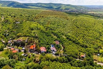 Vila cu 6 camere de vanzare - 31