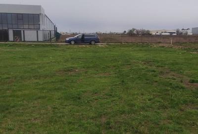 Teren pretabil hala industriala/rezidential Catelu - 3