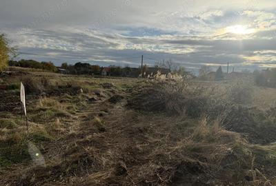 Teren de 838 mp, în Dudeștii Noi