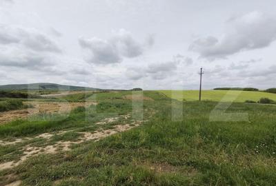 Teren intravilan in Cheriu foarte aproape de inelul metropol - 5