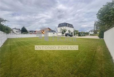 Vanzare spatiu comercial si curte generoasa, in Paulestii Noi - 9