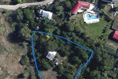 Spațiu comercial, în Copou - 1