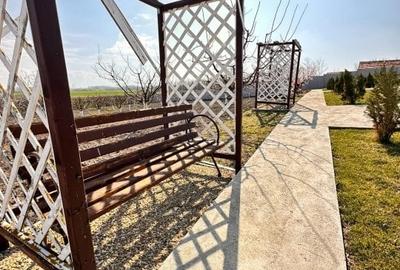 Proprietate specială, 200 mp în Central - 19