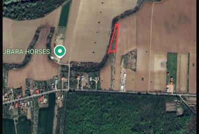 Teren Construcții intravilan de 1906 mp, în Siliștea Snagovului - 1